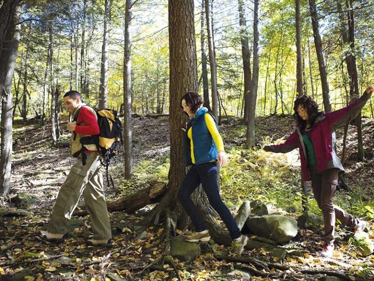 groep in het bos tijdens een orientatie wandeling